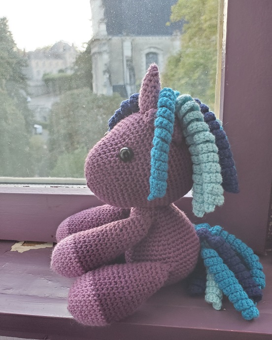 Barry the baby unicorn visits Blois, France